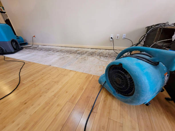 Reliable Flood Damage Restoration contractor in Mount Olive, NC by Hirex Water Damage