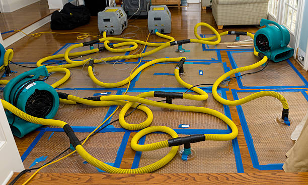 Professional Flood Damage Restoration technician working in Mount Olive, NC
