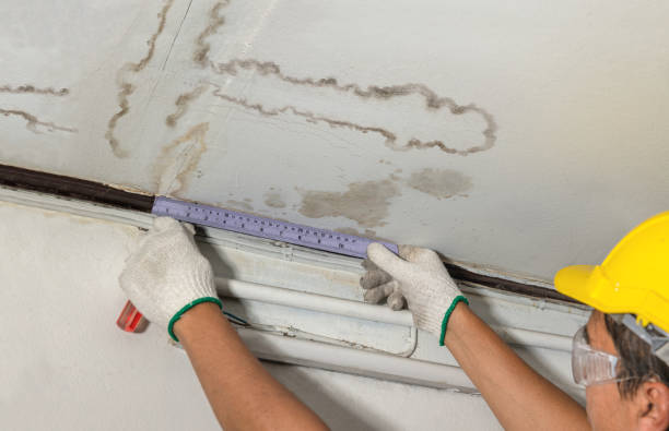Affordable Water Damage Repair solutions in Mount Olive, NC